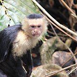 Costa Rica20150331-2007-0492